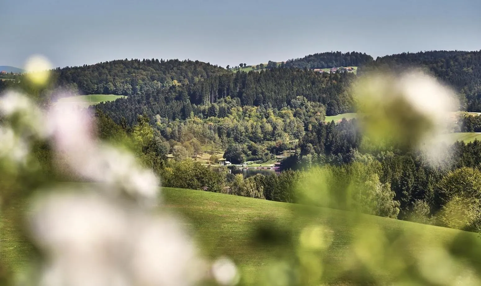 Bio-Ferienhof Hoefler Untergriesbach Germany