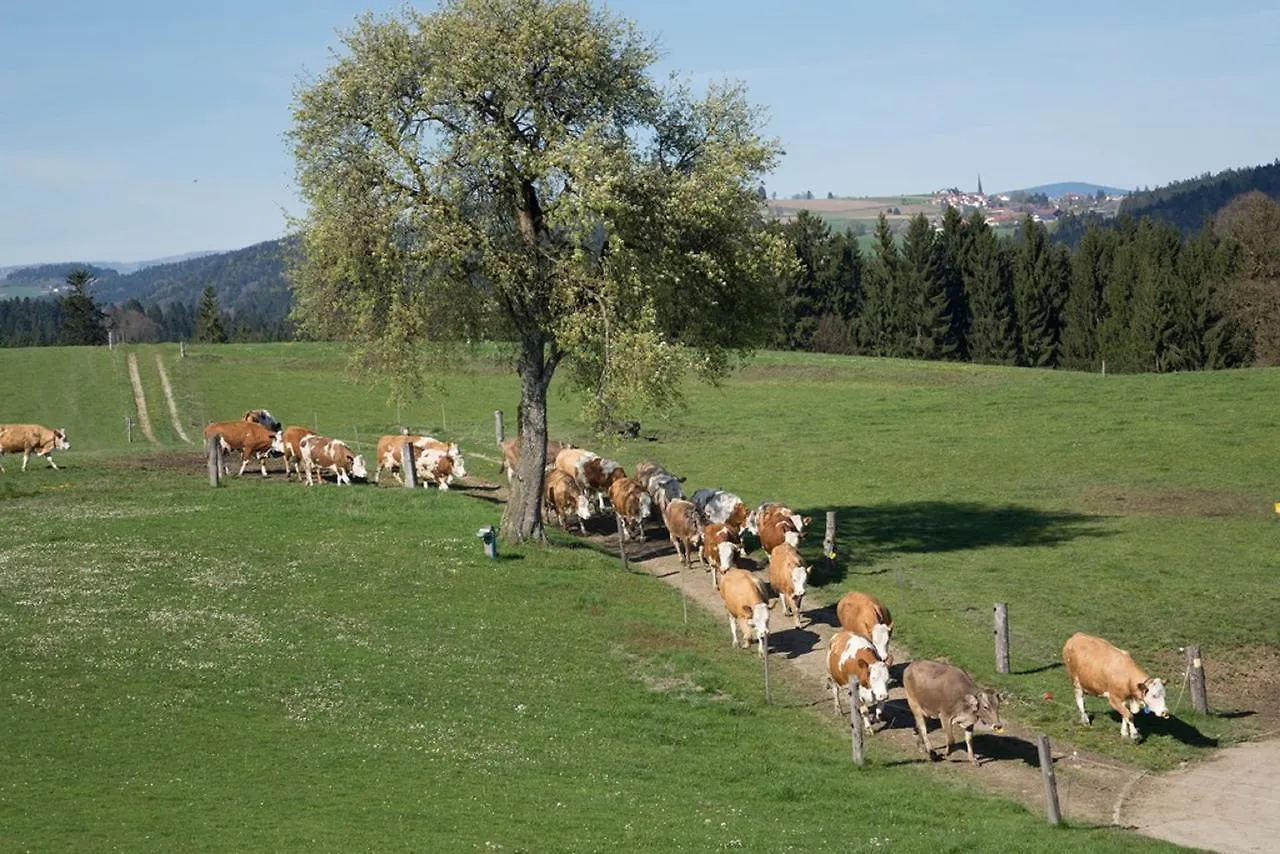 Bio-Ferienhof Hoefler Untergriesbach Farm stay